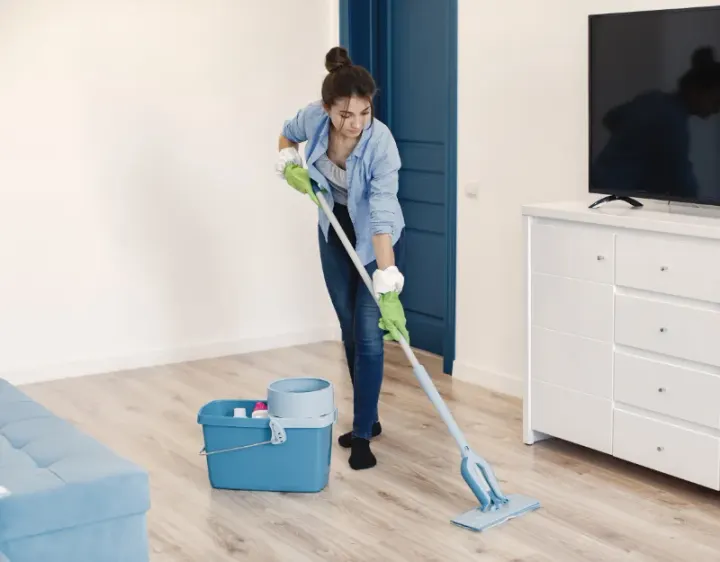 Femme de ménage Vienne